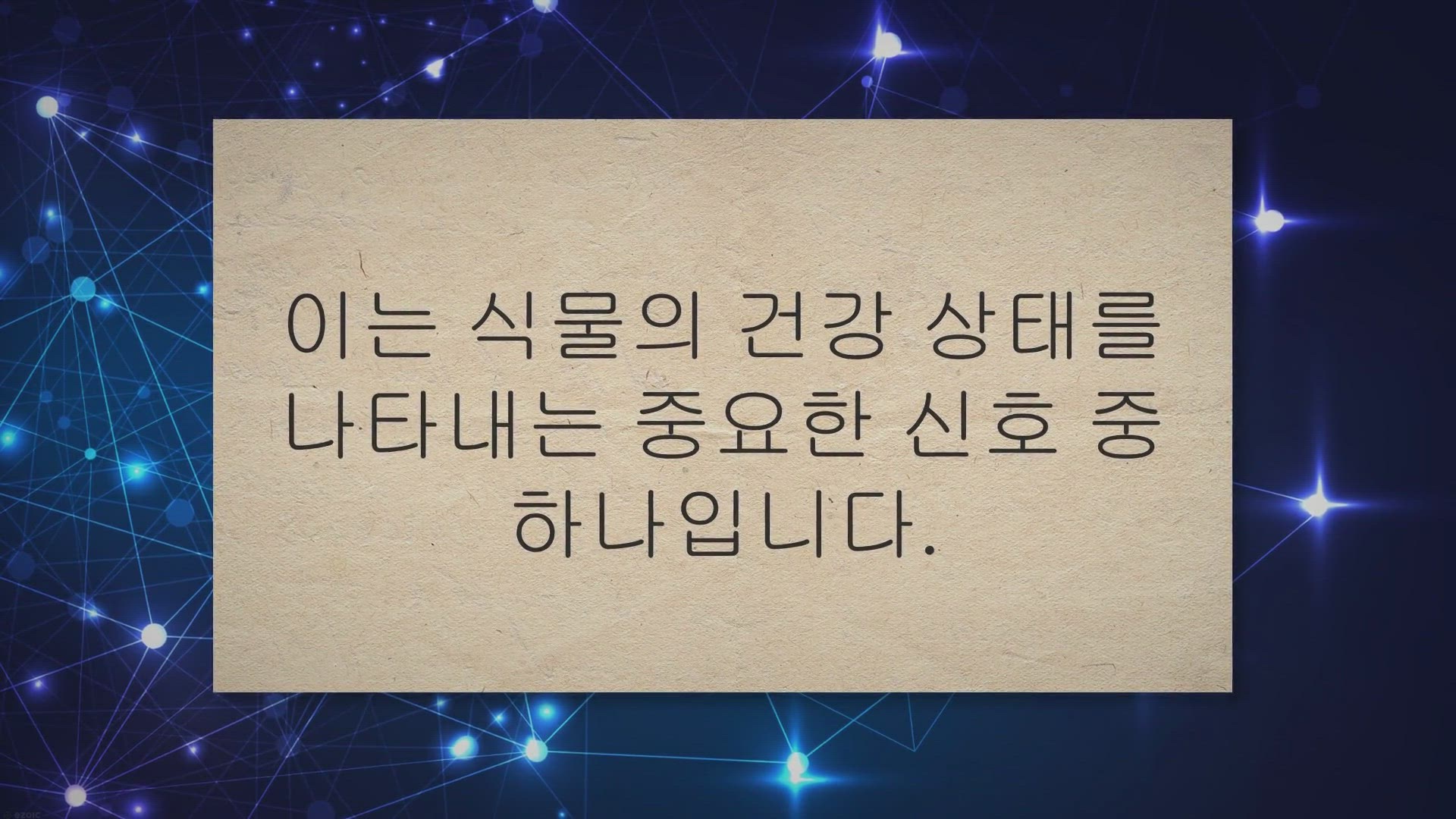 Video thumbnail for 식물 잎 끝이 갈색이 되는 이유와 해결하기