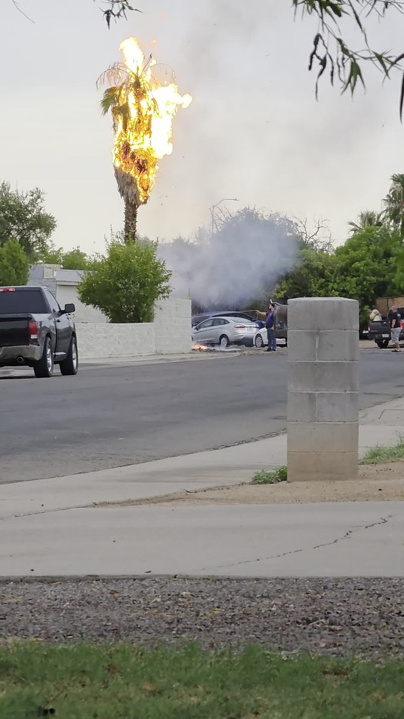Video thumbnail for Lightning Ignites Palm Tree in Mesa Neighborhood Inferno