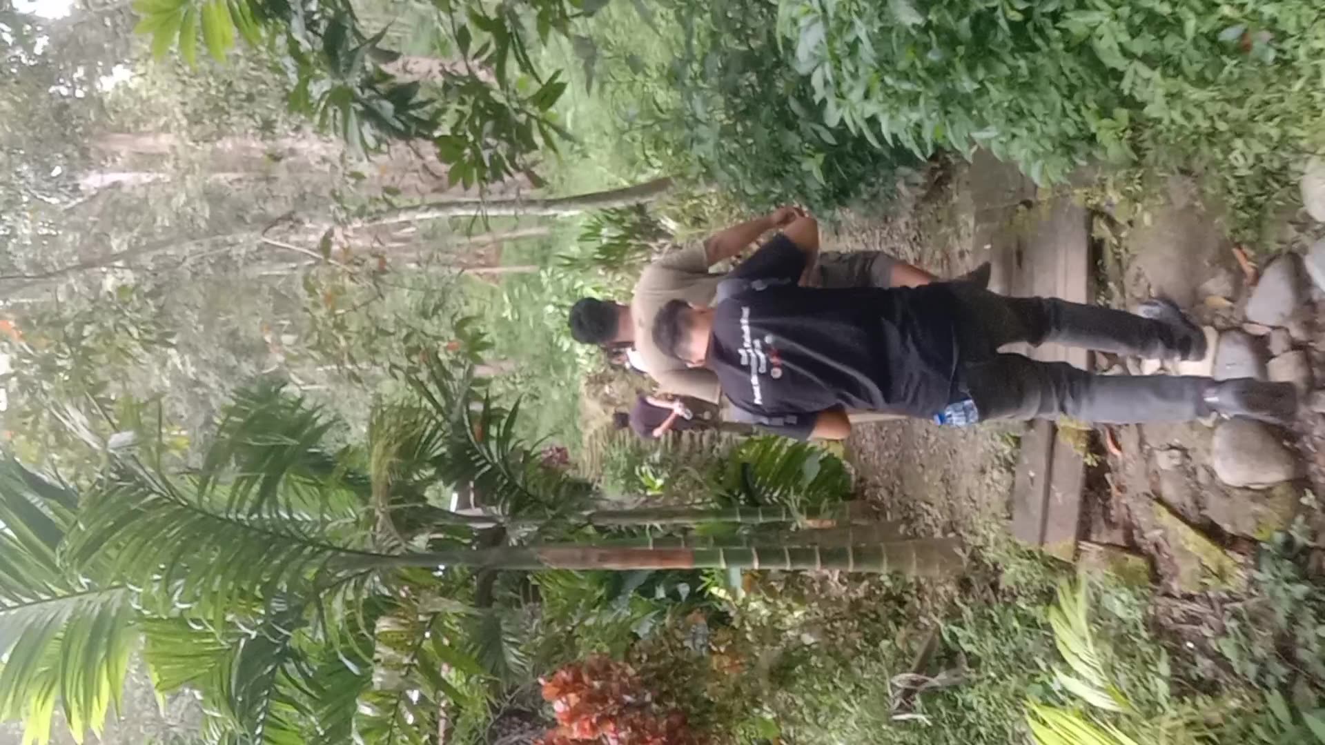 Video thumbnail for Hiking Bukit Lawang