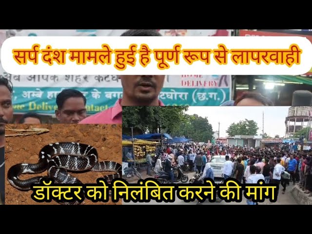 Video thumbnail for सर्प दंश से पति पत्नी के मौत की कौन है जिम्मेदार डॉक्टर या दवाई की कमी देखें पूरा वीडियो llकटघोरा