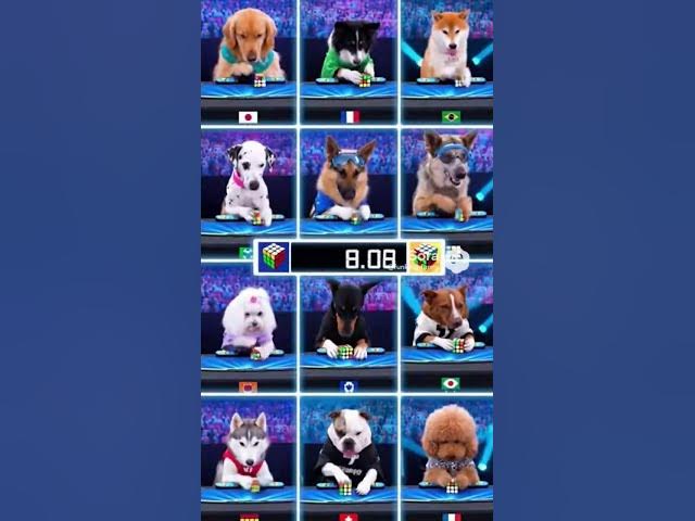 Video thumbnail for 🤣🤣🤣🤣