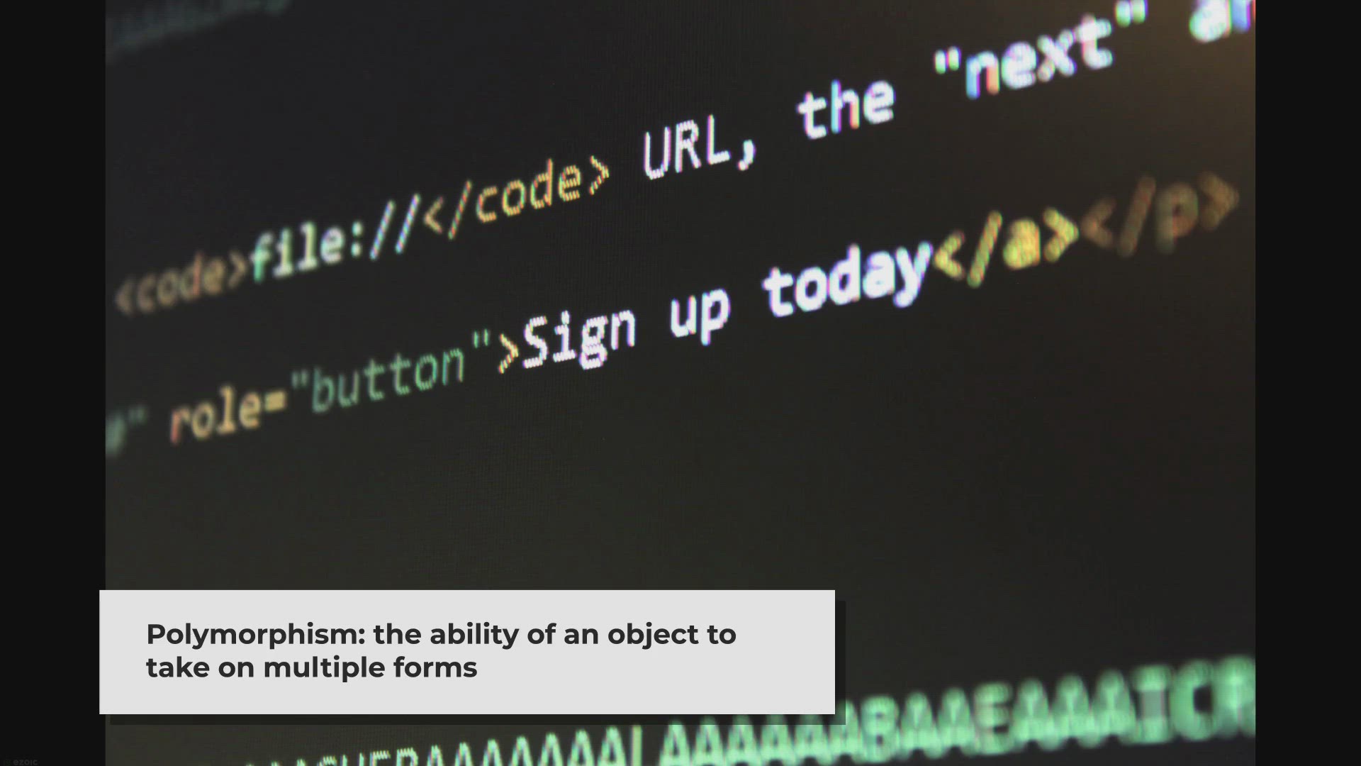 Video thumbnail for Polymorphism in Java: A Brief Overview