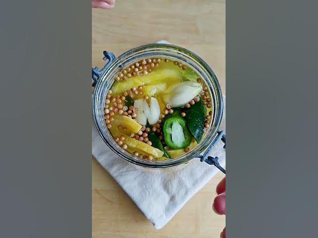 Video thumbnail for UNE CONSERVE + DES PICKLES