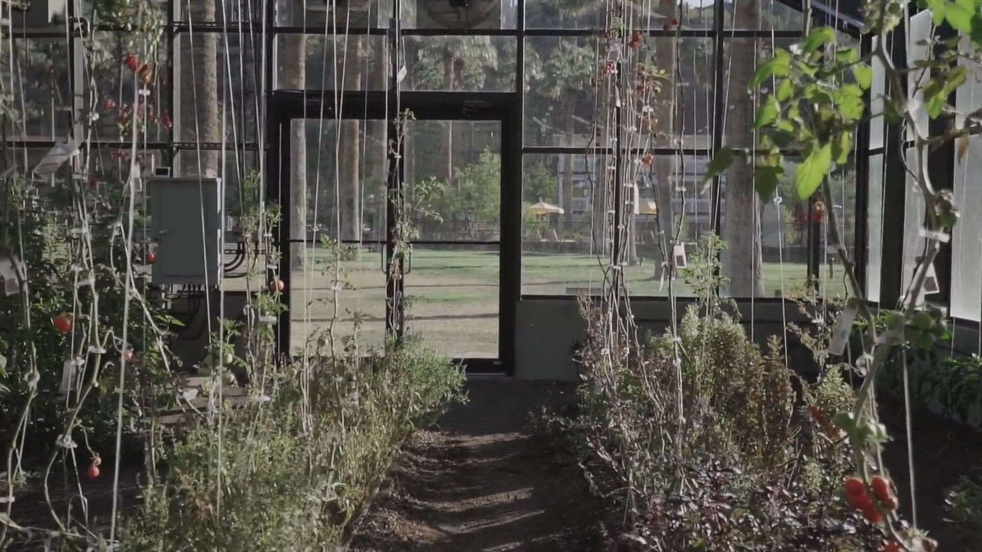 Video thumbnail for How To Build A Tropical Greenhouse: 10 Rules Of Thump To Follow