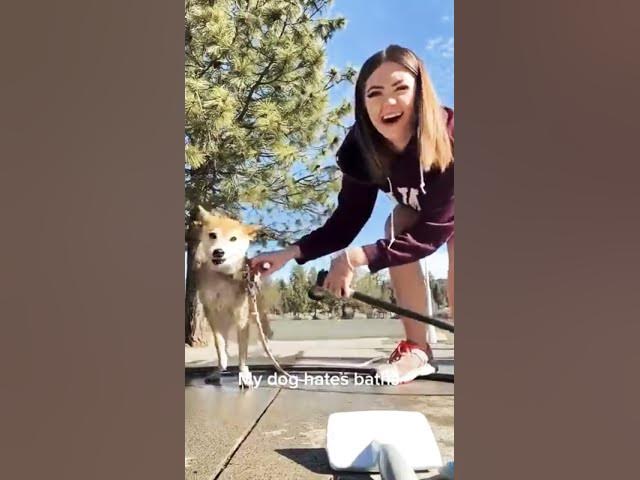 Video thumbnail for #funny #channelchatter 😂😂😂