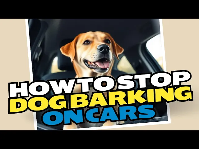 Video thumbnail for How To Stop Dog Barking While In The Car