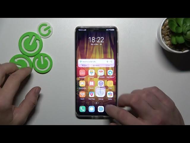 Video thumbnail for How to Switch On / Off Vibrations for Calls on HUAWEI Mate 50 Pro - Adjust Call Settings