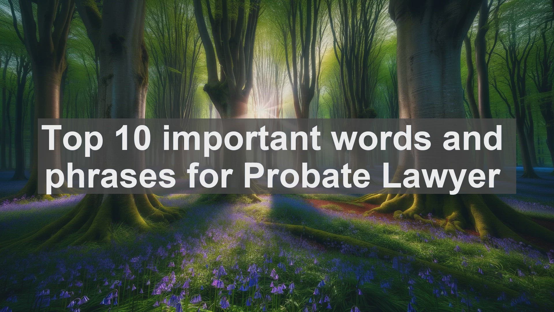 'Video thumbnail for Top 10 important words and phrases for Probate Lawyer'