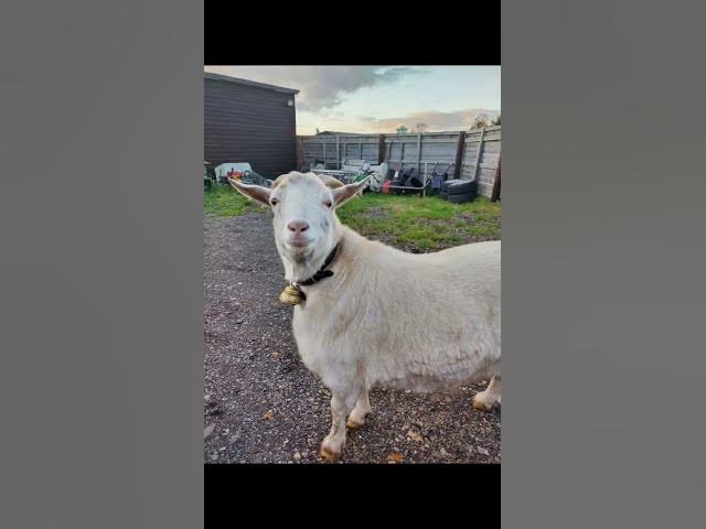 Video thumbnail for 17 November 2025