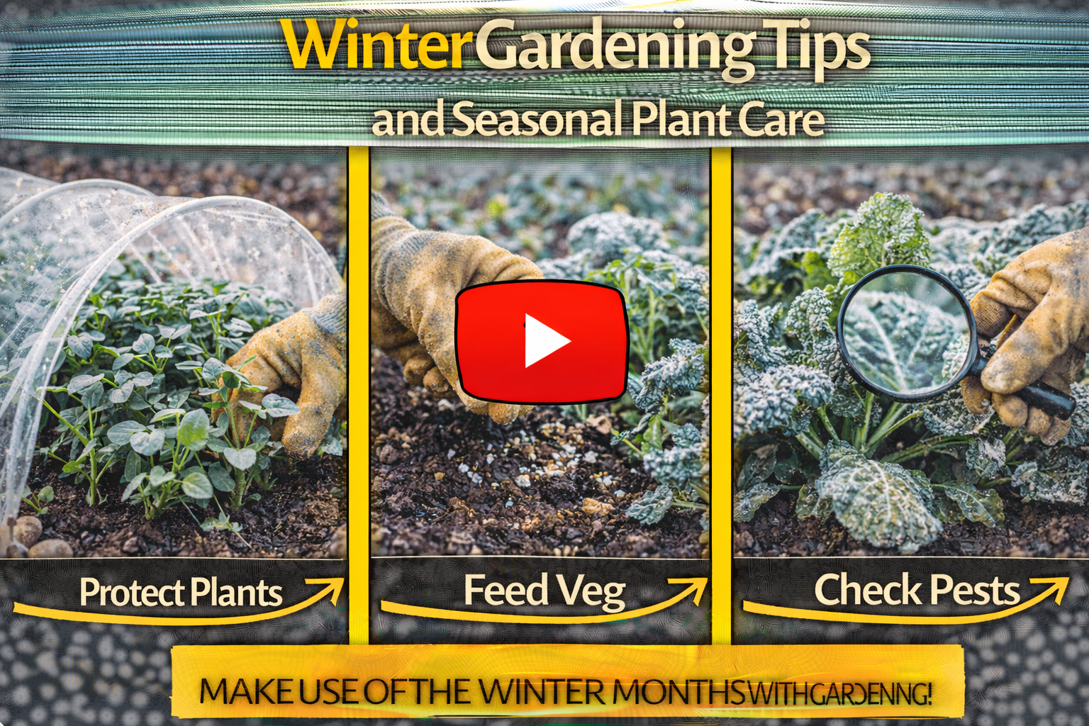 Video thumbnail for Winter Gardening Tips and Seasonal Plant Care