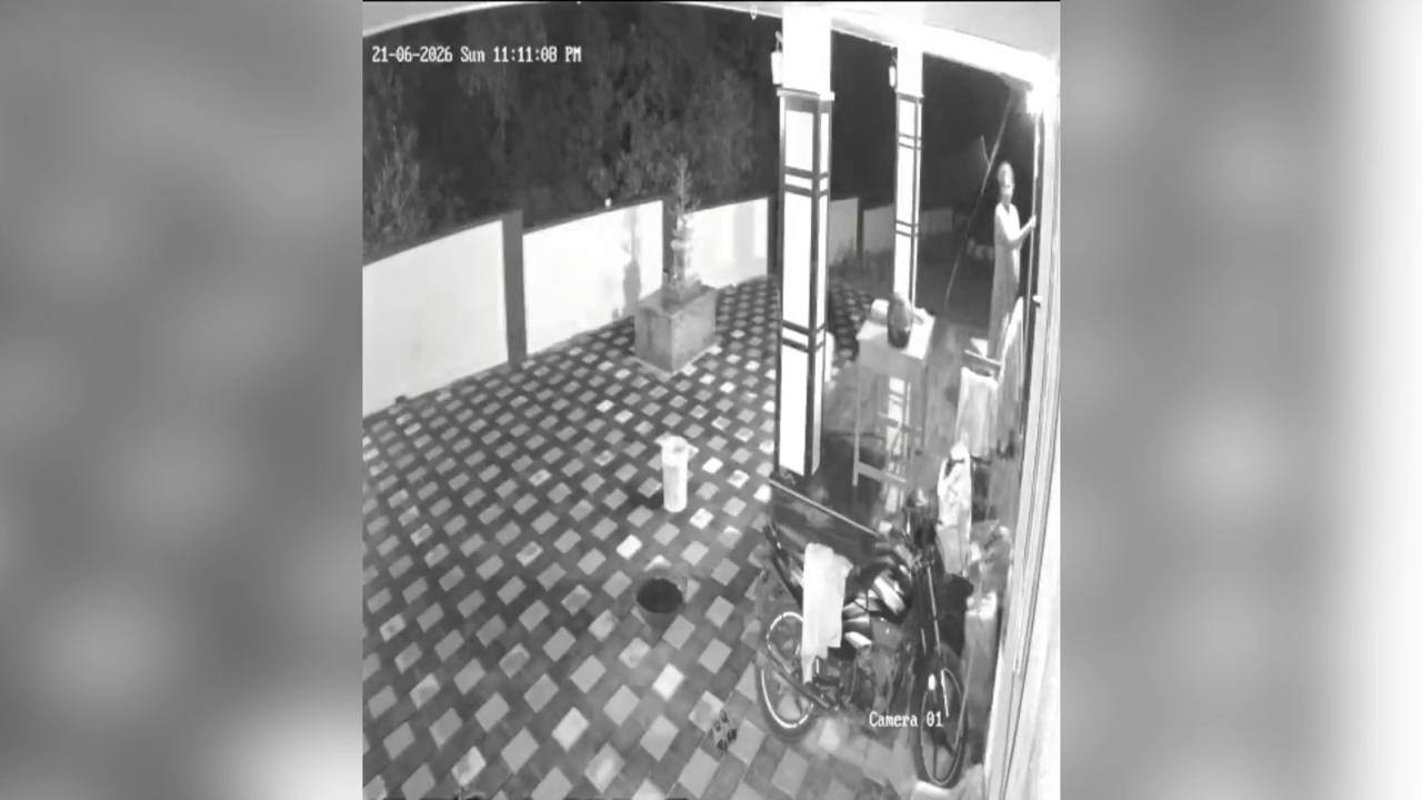Video thumbnail for India: Leopard enters house, chases dogs, sparks panic throughout residential neighborhood.