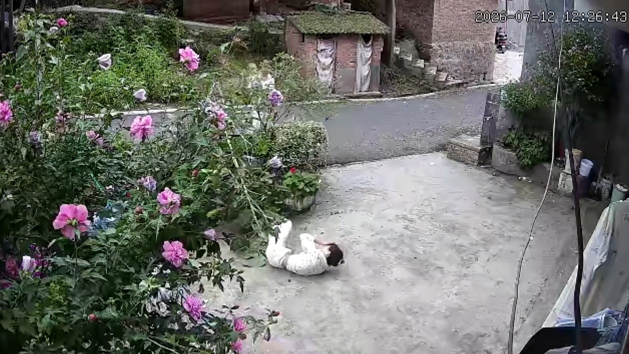 Video thumbnail for Woman Falls After Leaning on Giant Sunflower in China
