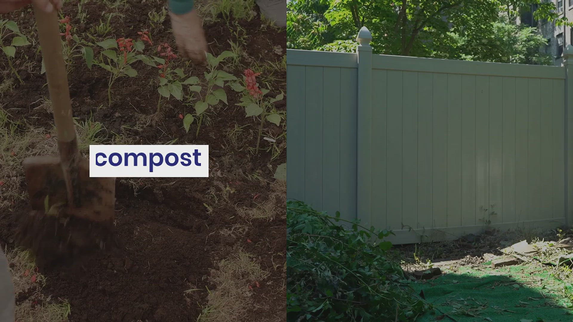'Video thumbnail for Tips for Growing Cabbage in the Backyard'