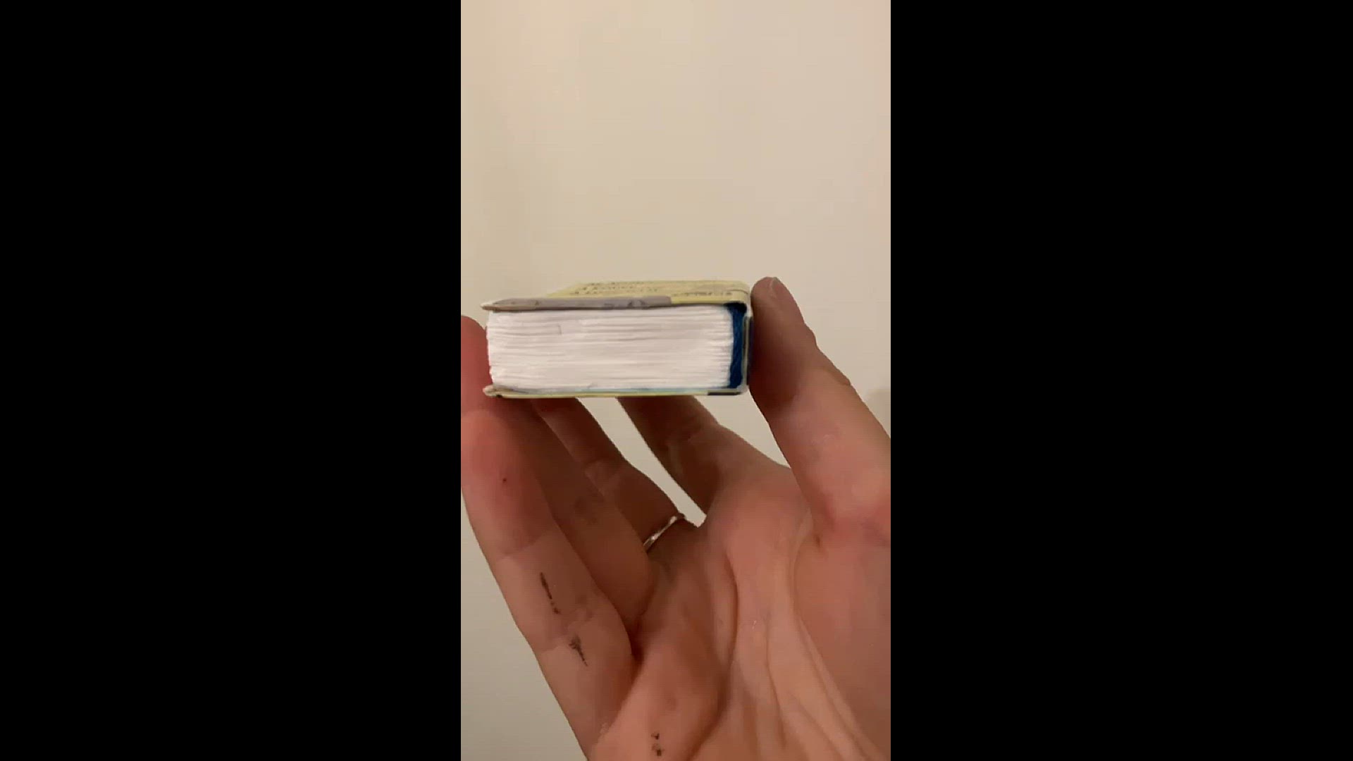 Video thumbnail for WhatsApp Video 2024-12-30 at 10.58.04