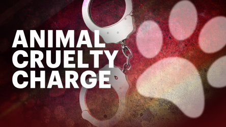 Video thumbnail for Mitchel Houses man indicted for allegedly throwing family's cat out 15th-floor apartment window