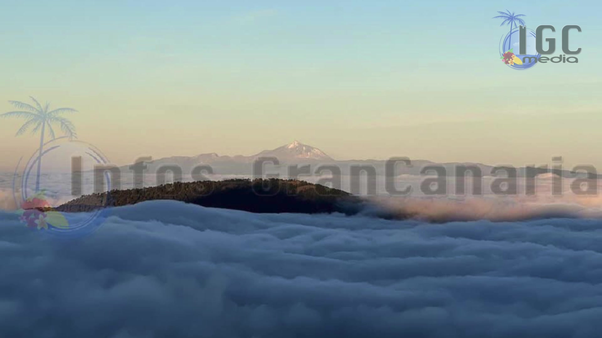 Video thumbnail for Gran Canaria Wochenrückblick vom 1. Februar 2026
