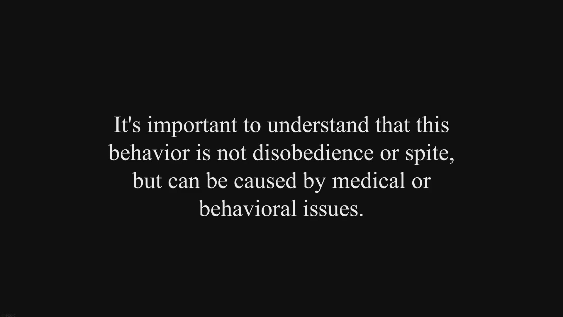 Video thumbnail for Understanding Why Dogs Pee on Their Beds and How to Prevent It