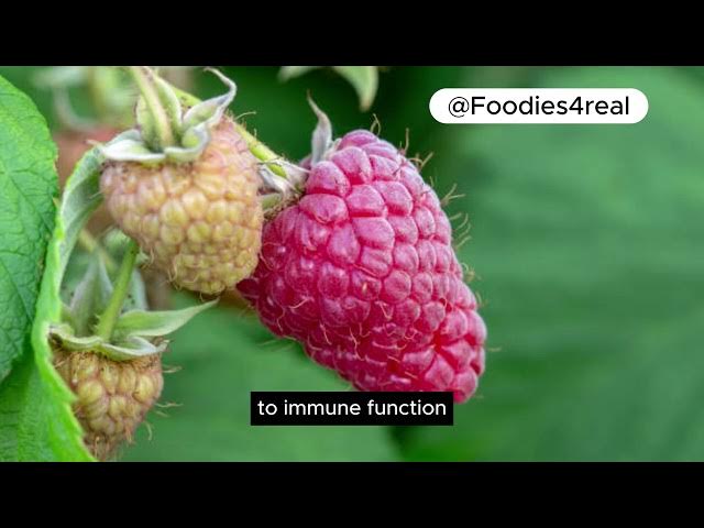 Video thumbnail for Loganberry: The Sweet-Tart Berry with Impressive Benefits