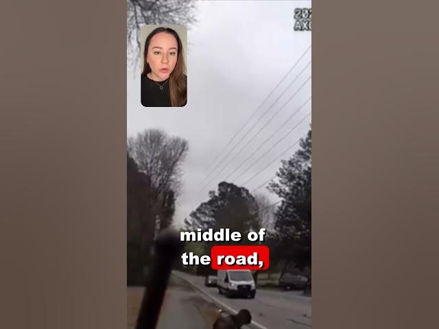 Video thumbnail for Cobb County s Feathered Fugitive