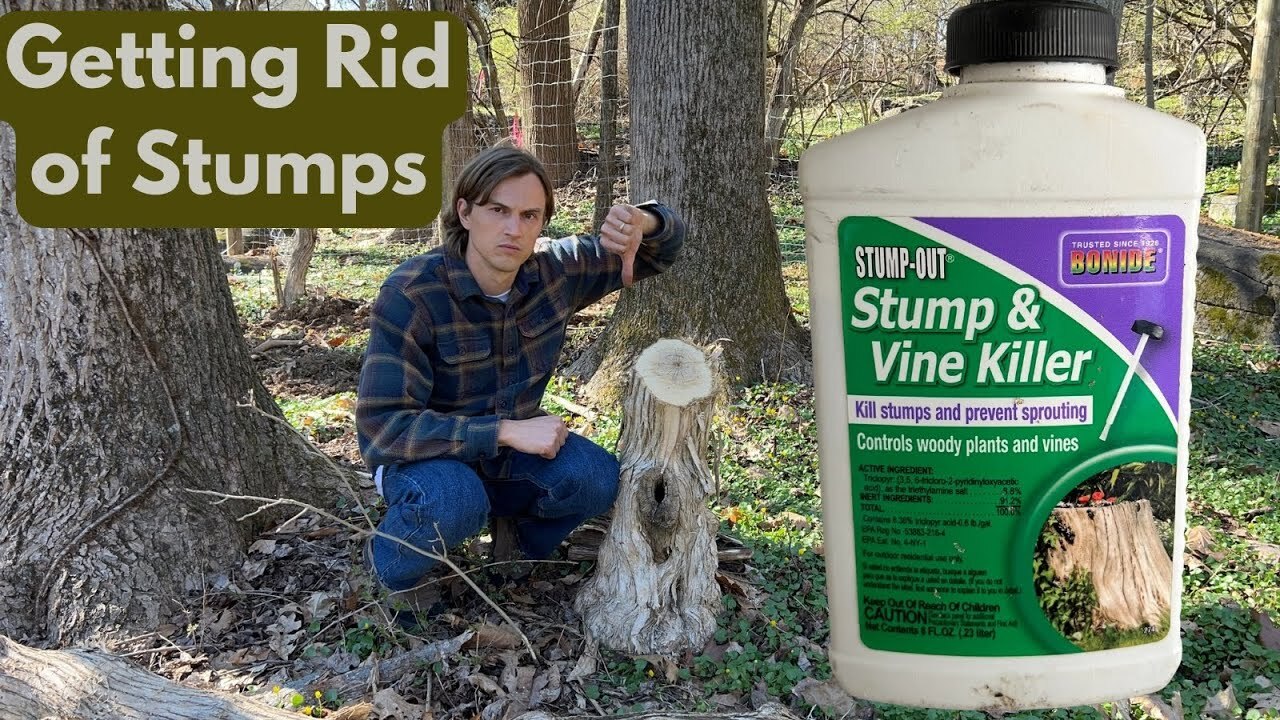 Video thumbnail for How to Get Rid of Old Stumps using Stump & Vine Killer