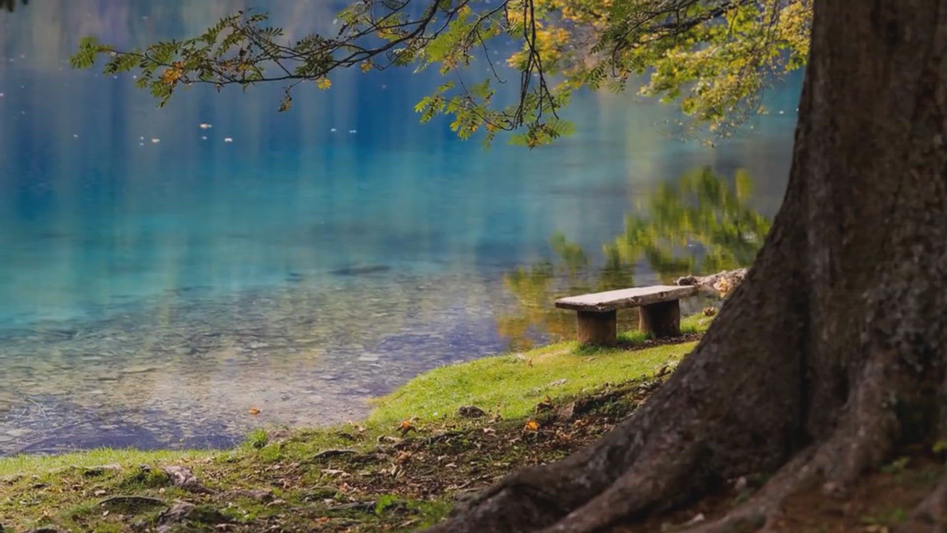 Video thumbnail for Michigan's Inland Waterway: A 40-Mile Aquatic Adventure