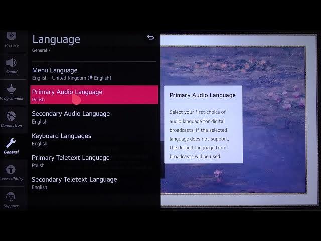 Video thumbnail for LG NanoCell TV - How to Change Audio Language? LG 4K LED Smart TV (49NANO867NA)
