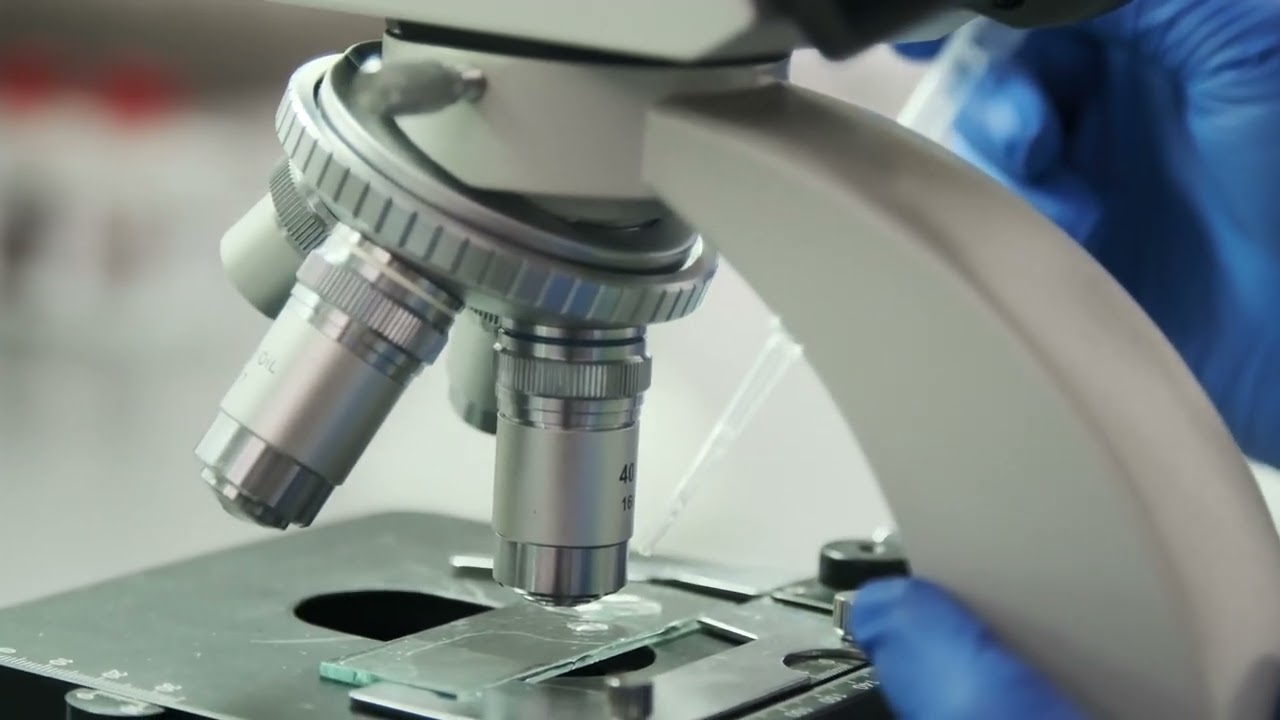 Video thumbnail for 4114797 uhd 3840 2160 25fps