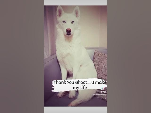 Video thumbnail for 326ca8c9c23bb83f31dfac679e9aaaa6