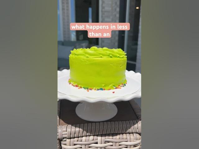Video thumbnail for Friendly reminder that buttercream melts in the sun! #cakedecorating #cake #cakeshorts