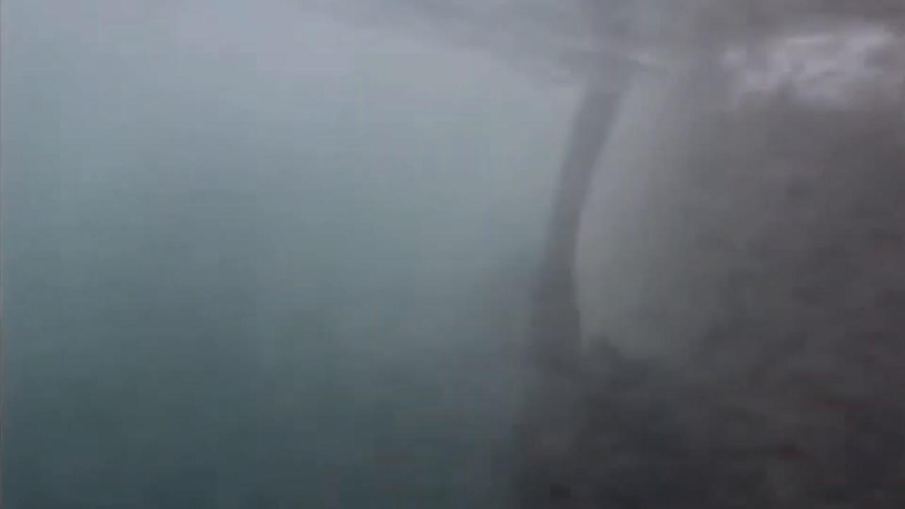 Video thumbnail for The Horrific Untold Story of Shamu The Killer Whale