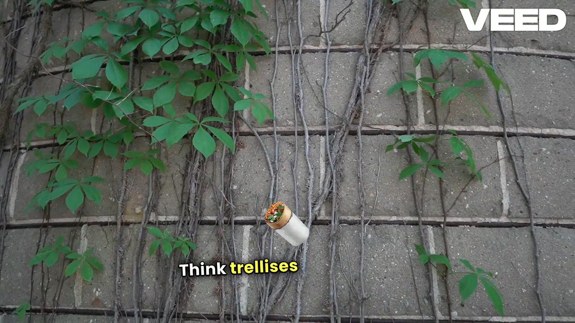 'Video thumbnail for Transform Your Small Garden Oasis'