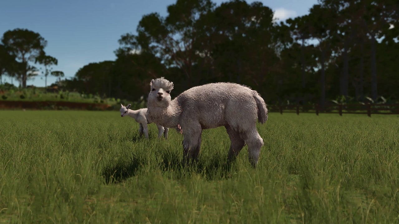 Video thumbnail for Farming Simulator 25 - Official Beans & Alpacas Announcement Teaser Trailer