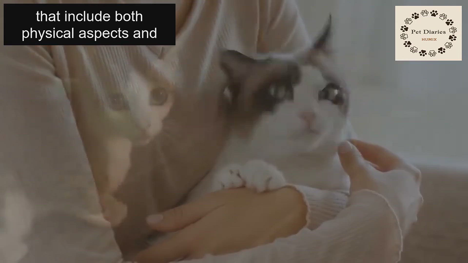 'Video thumbnail for Interesting Facts About Female Cats'