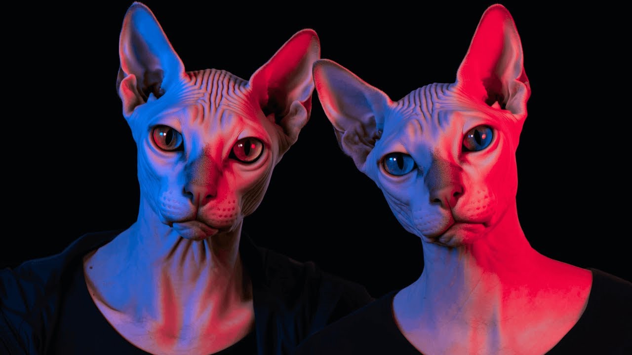 Video thumbnail for Higgsfield Popcorn Tutorial - Create Cinematic Stories with One Click