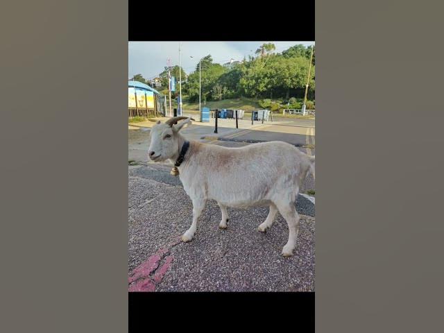 Video thumbnail for 18 November 2025