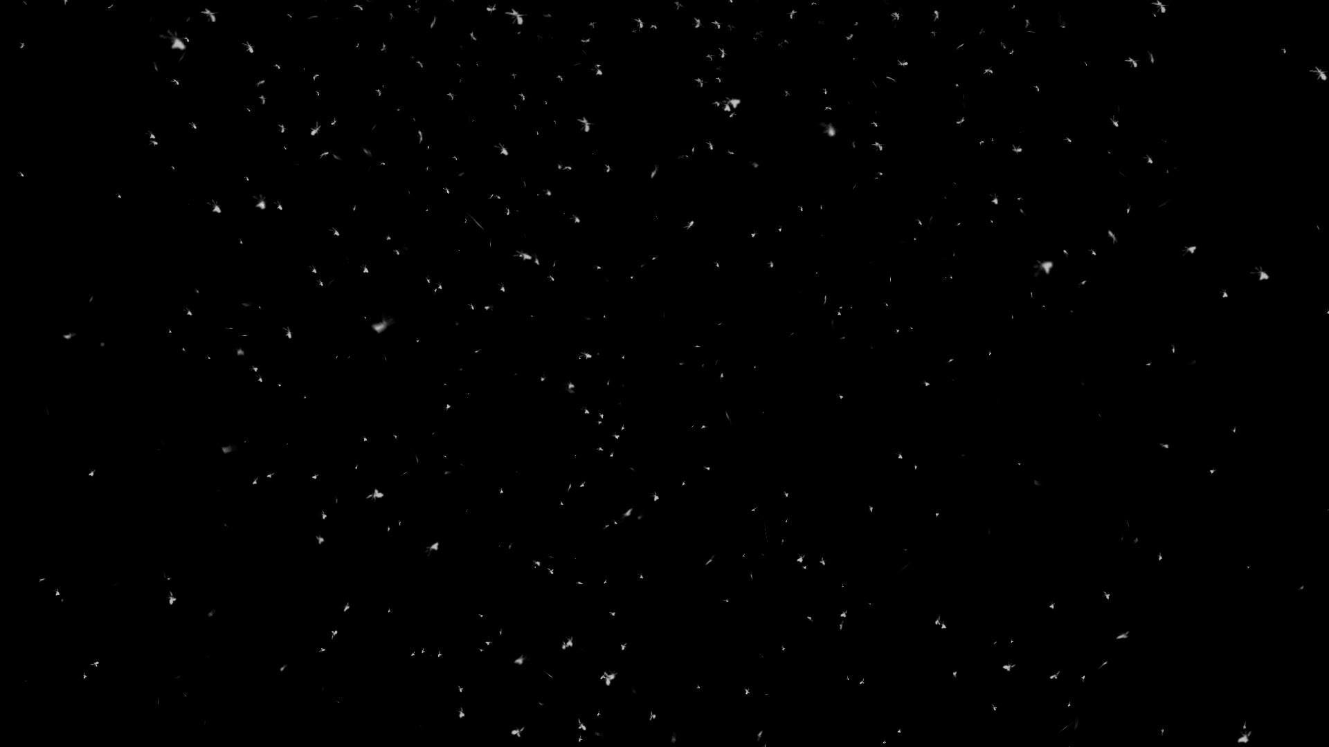 Video thumbnail for Megasack 2023 Blooper Reel