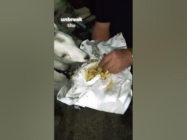 Video thumbnail for 17 November 2025