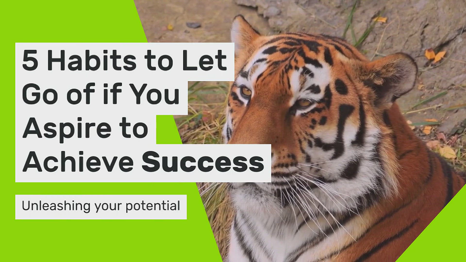 Video thumbnail for 5 Habits to Give Up if You Want to Be Successful