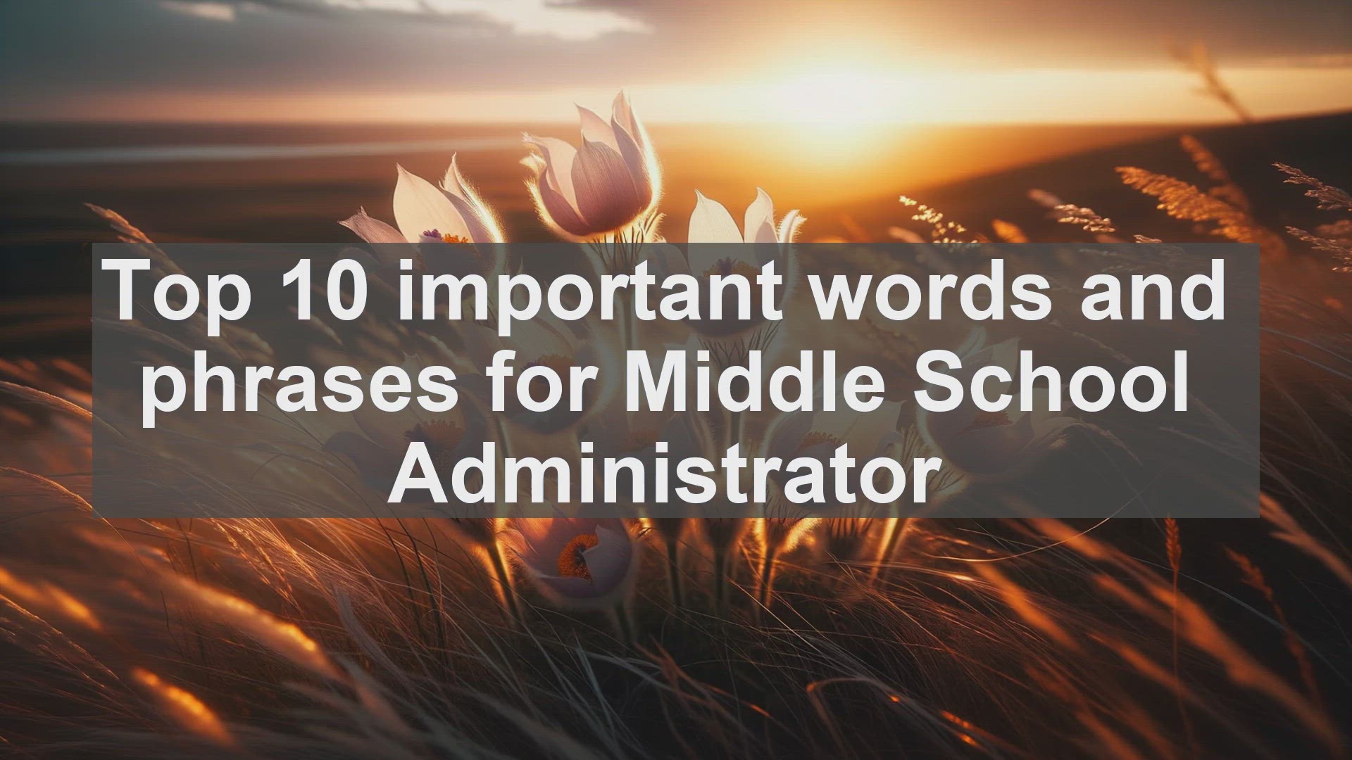 'Video thumbnail for Top 10 important words and phrases for Middle School Administrator'