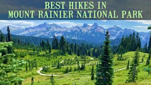 'Video thumbnail for 20 Best Hikes In Mount Rainier National Park'
