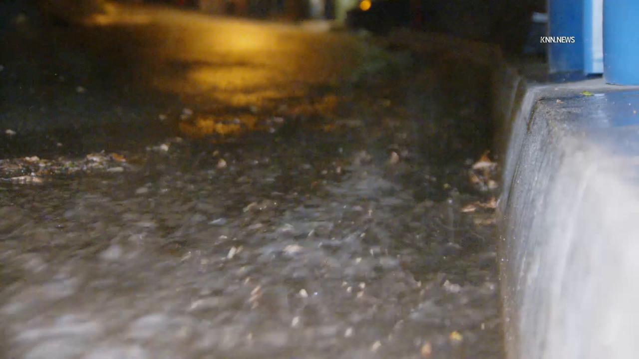 Video thumbnail for US, Los Angeles: Hollywood Hills Sudden Downpour.