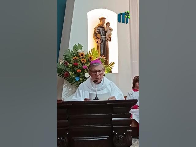 Video thumbnail for Homilía de monseñor Carlos Enrique Herrera obispo de Jinotega II Domingo de Pascua en Guatemala 13 a