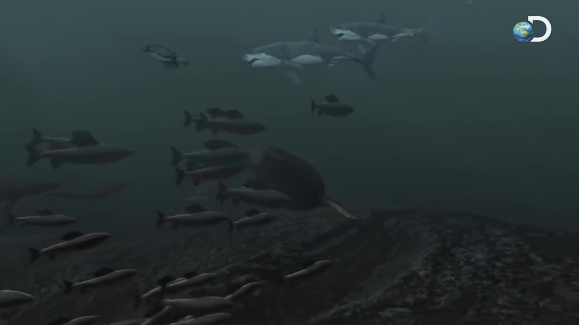 Video thumbnail for Times The Discovery Channel Lied To You