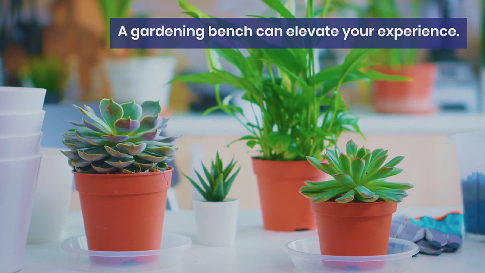 'Video thumbnail for How to Choose the Best Gardening Bench'