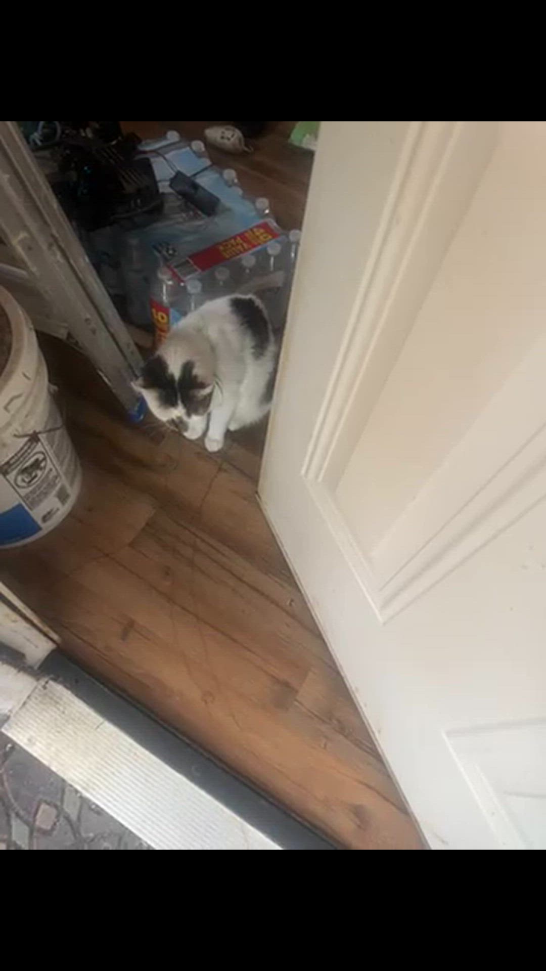 Video thumbnail for 78009613395  376471C1 F2B3 49C4 BA84 91F8D64E1EDD