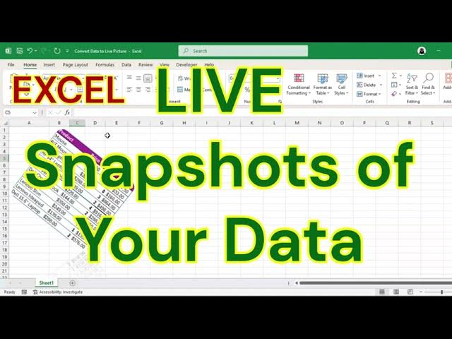 Video thumbnail for Copy Cells as Live Pictures in Excel (Linked & Static Methods)