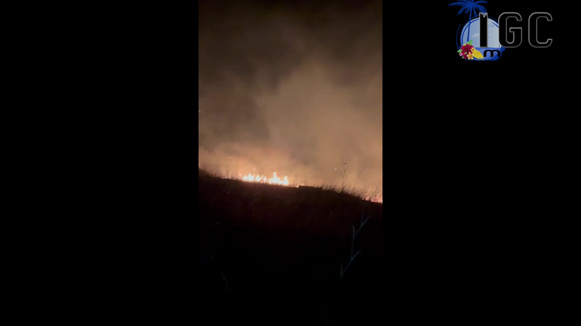 'Video thumbnail for Kleiner Wald- bzw. Steppenbrand in Galdar'