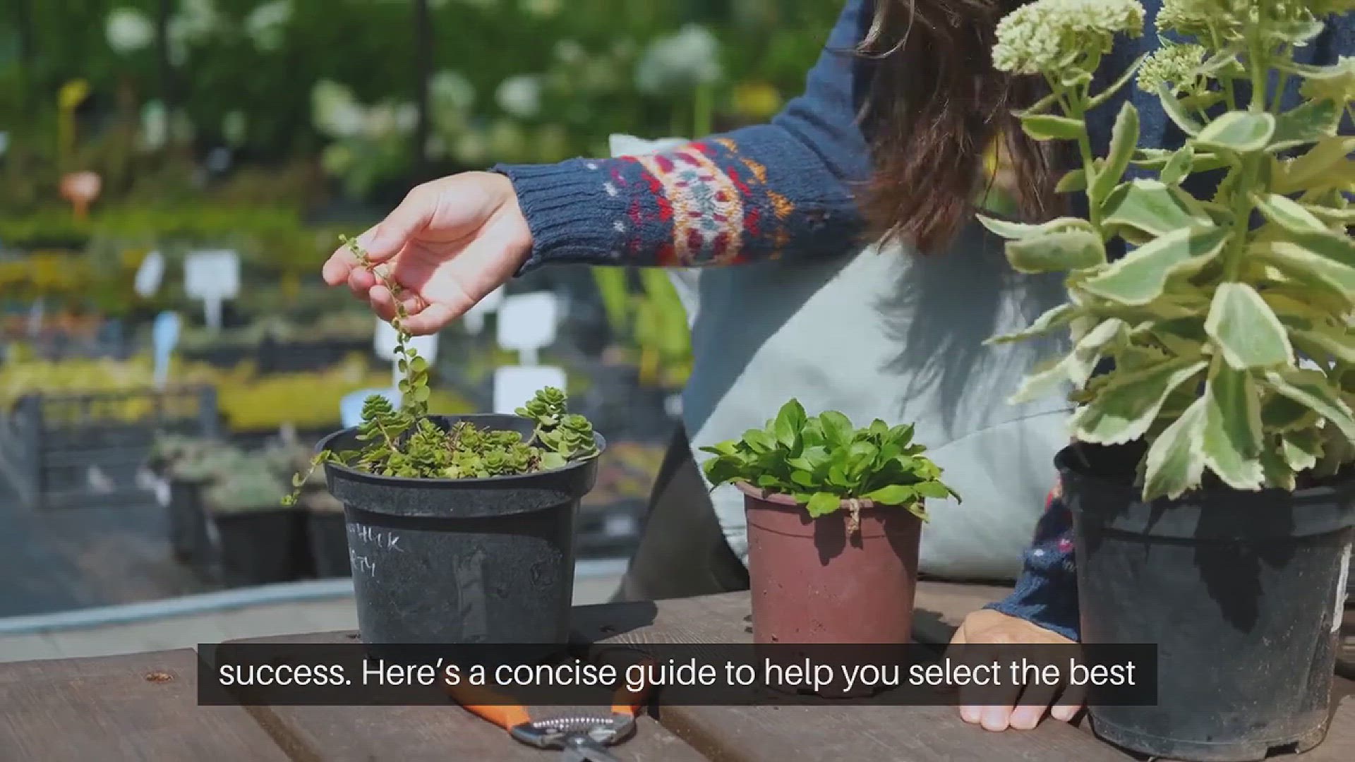 Video thumbnail for Garden Container Selection