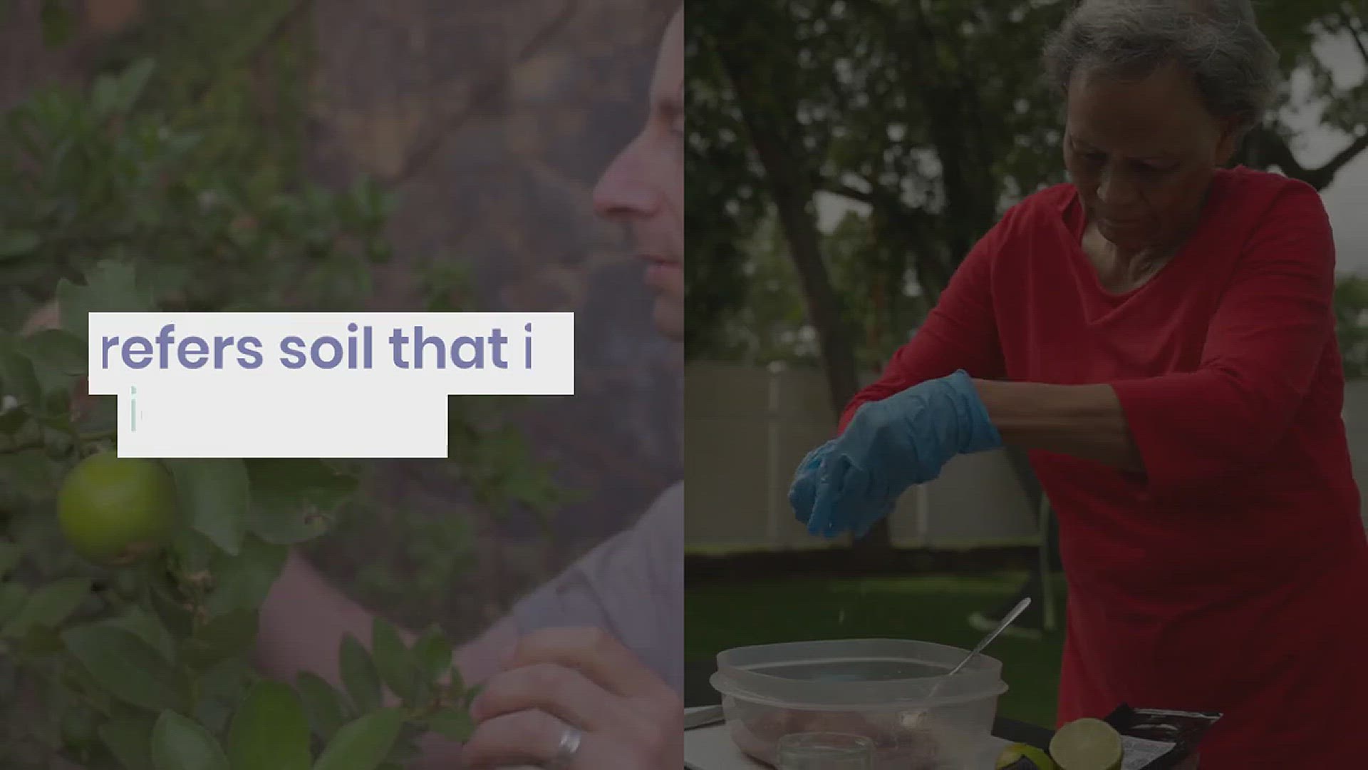 'Video thumbnail for How to Grow Catmint in Your Garden'