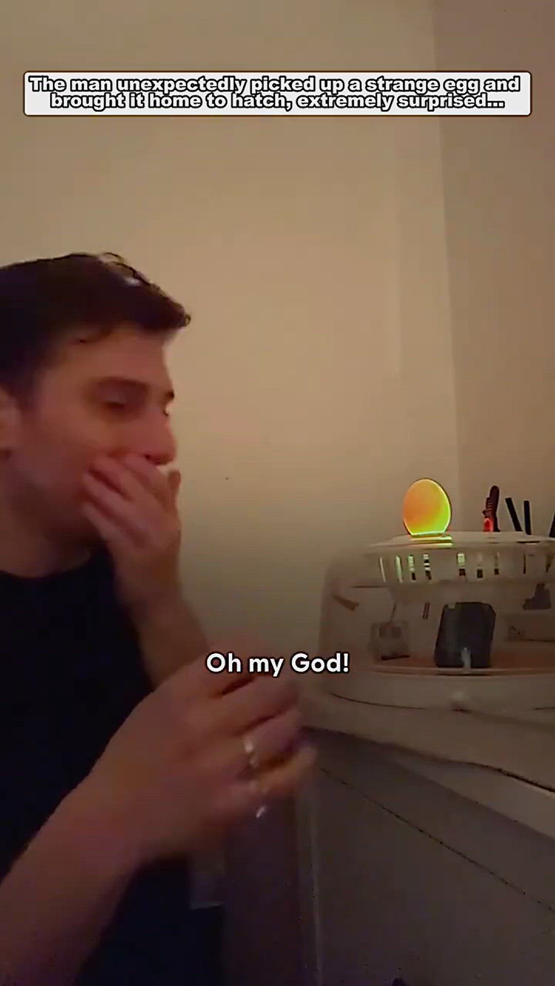 Video thumbnail for poor baby duck #duck #babyduck #short